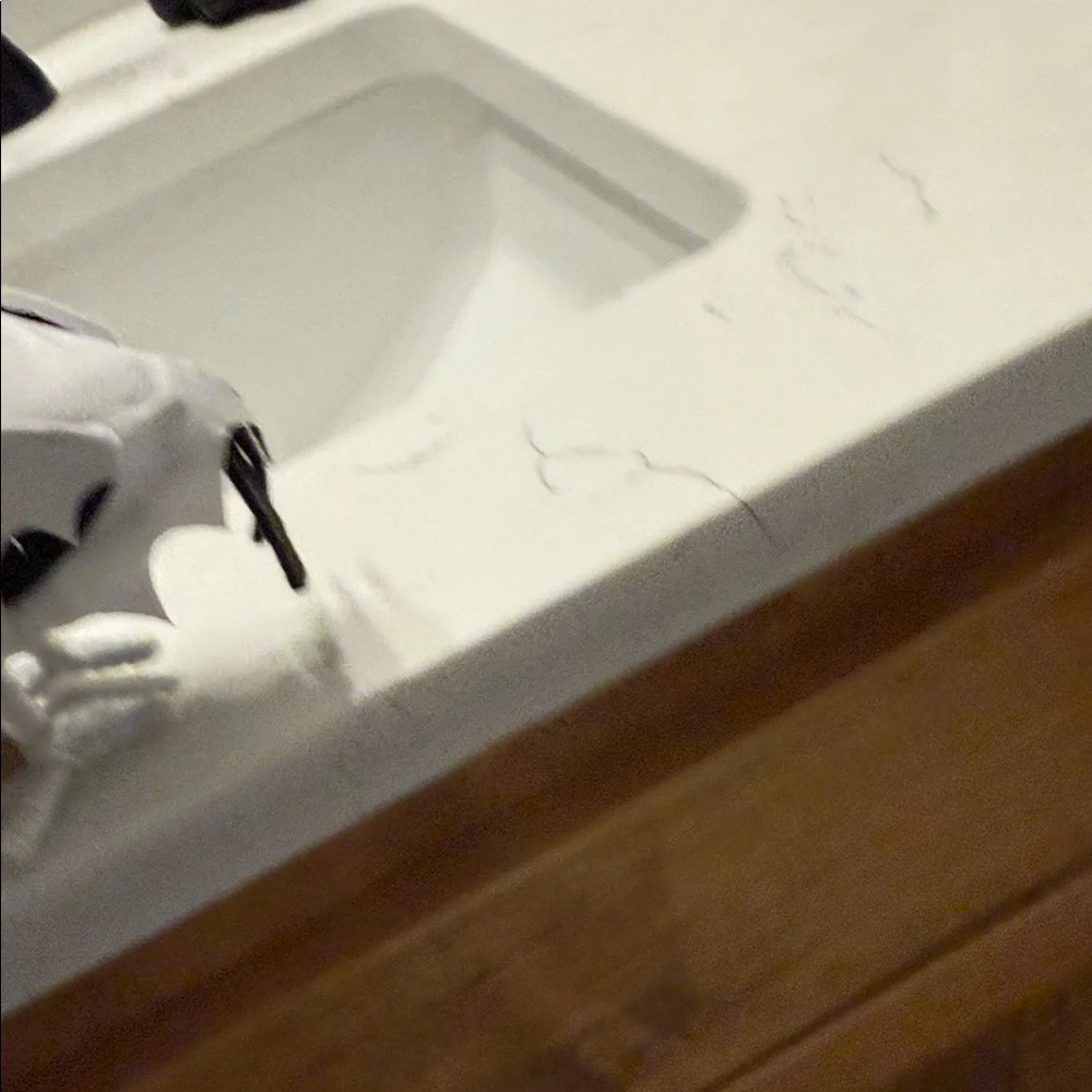 Spider Bird Decor - Black and White - Picture 2 of 4